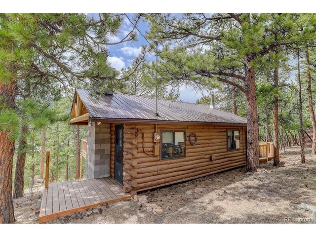 307 Virginia Rd, Bailey, CO 80421