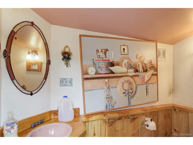 307 Virginia Rd, Bailey, CO 80421