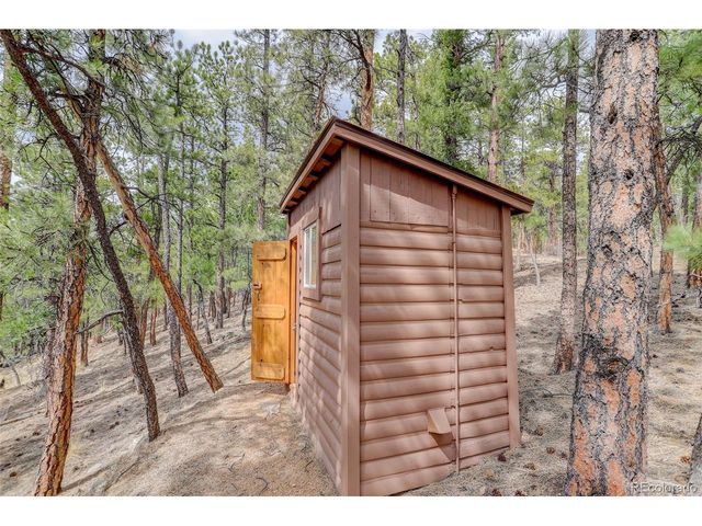 307 Virginia Rd, Bailey, CO 80421