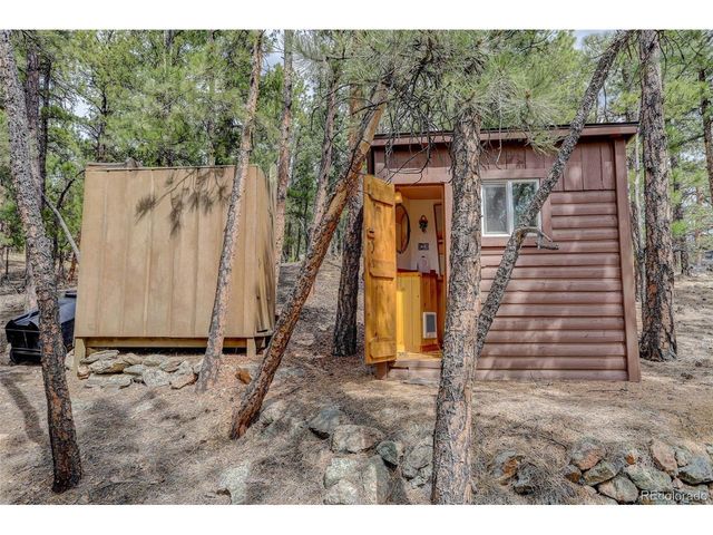 307 Virginia Rd, Bailey, CO 80421