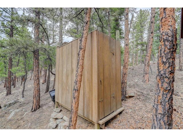 307 Virginia Rd, Bailey, CO 80421