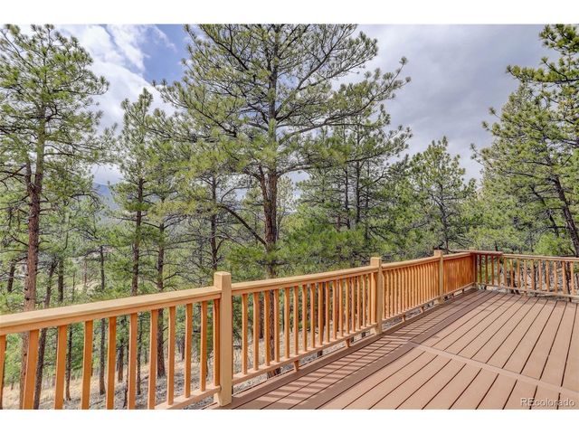 307 Virginia Rd, Bailey, CO 80421
