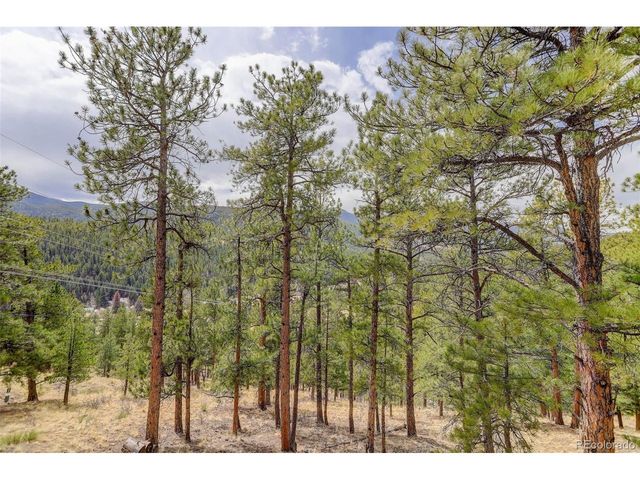 307 Virginia Rd, Bailey, CO 80421