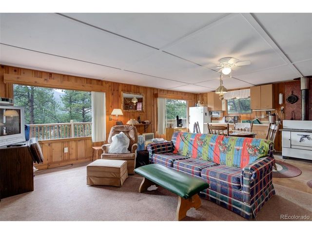 307 Virginia Rd, Bailey, CO 80421