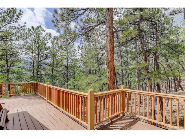 307 Virginia Rd, Bailey, CO 80421