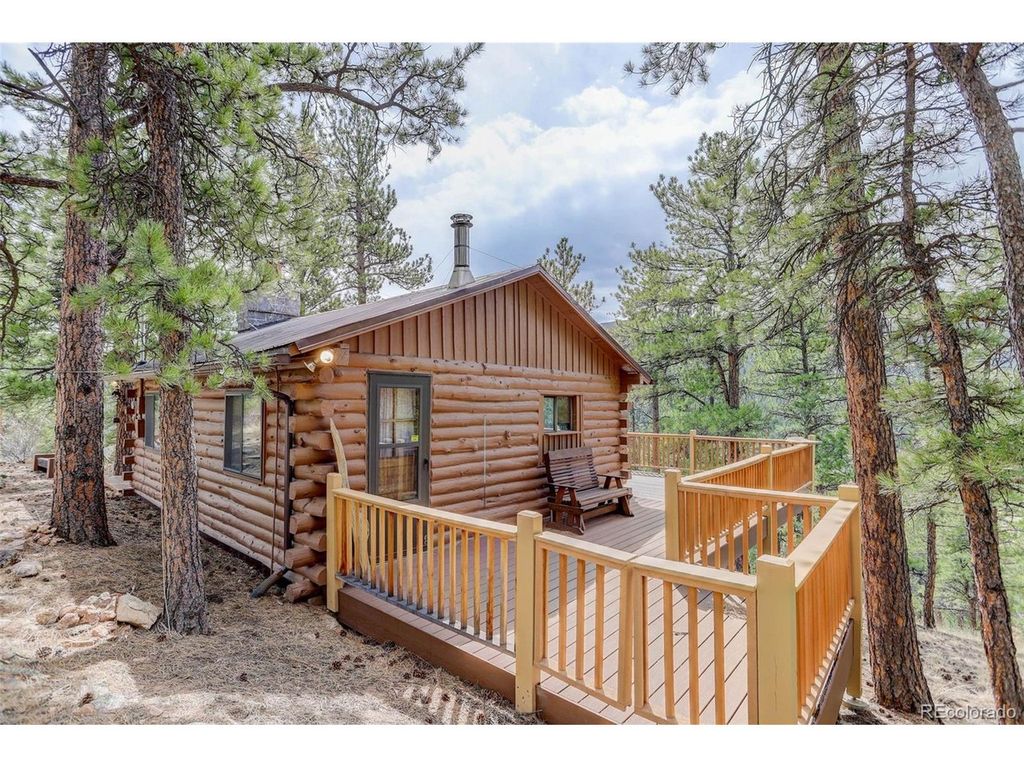 307 Virginia Rd, Bailey, CO 80421