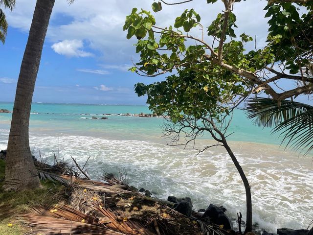 3409 AV. ISLA VERDE 702, Carolina, PR 00979