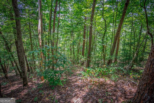 LOT 104 Mountain Creek Hollow Drive, Talking Rock, GA 30175