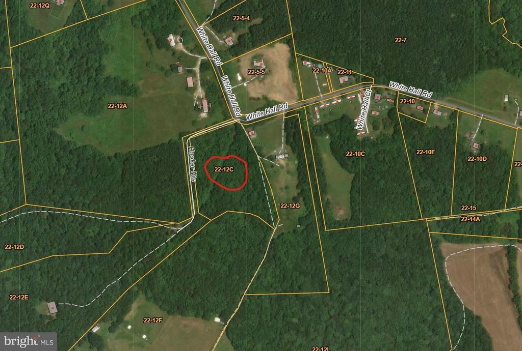 WHITE HALL RD 6.75 ACRES, King George, VA 22485