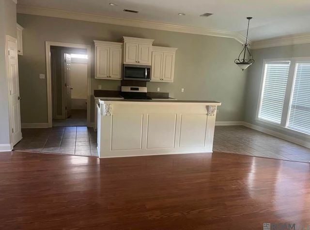 37196 Audubon Park Ave, Geismar, LA 70734