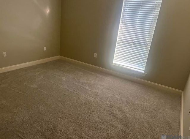 37196 Audubon Park Ave, Geismar, LA 70734
