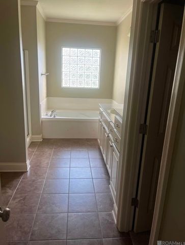 37196 Audubon Park Ave, Geismar, LA 70734