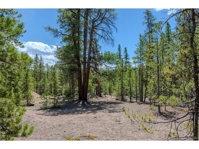 294 Peak View Dr, Twin Lakes, CO 80461