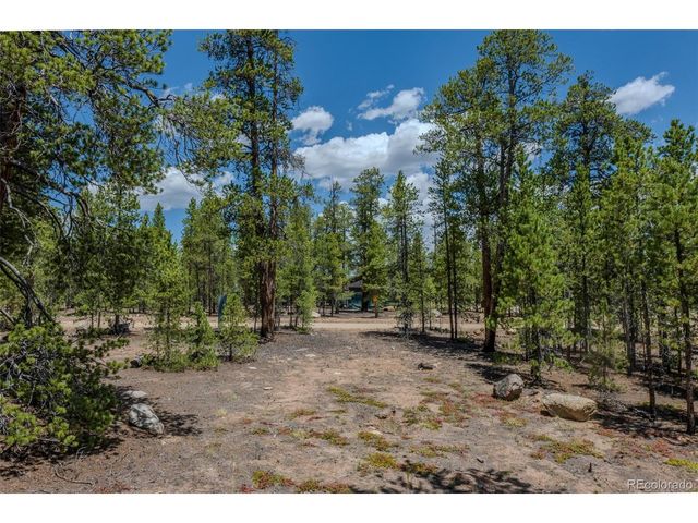 294 Peak View Dr, Twin Lakes, CO 80461