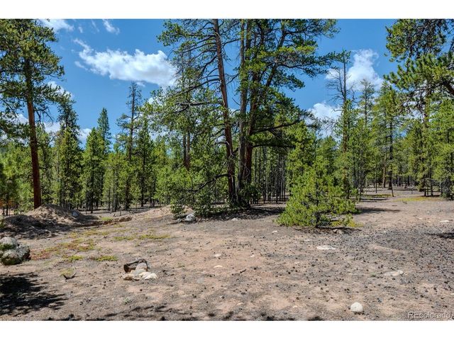 294 Peak View Dr, Twin Lakes, CO 80461