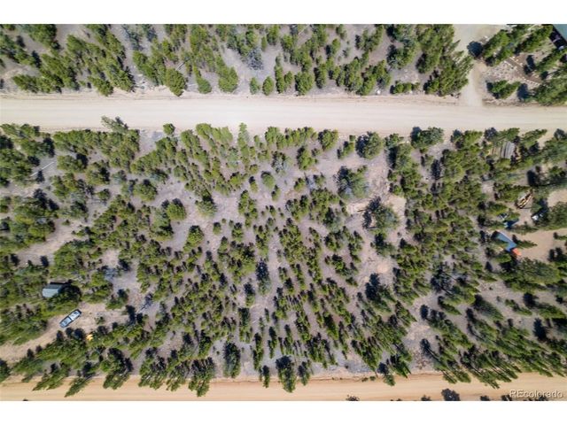 294 Peak View Dr, Twin Lakes, CO 80461