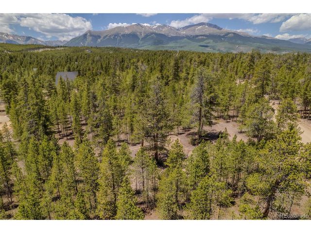 294 Peak View Dr, Twin Lakes, CO 80461