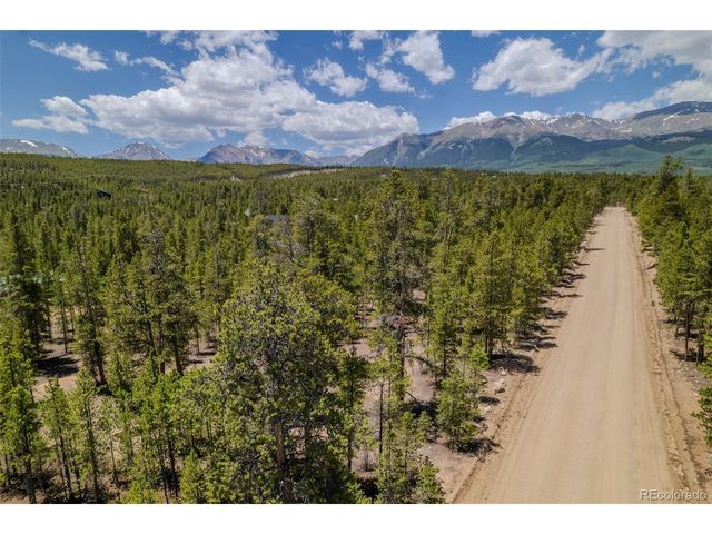 294 Peak View Dr, Twin Lakes, CO 80461