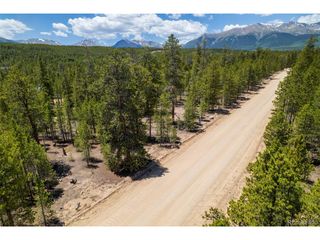 294 Peak View Dr, Twin Lakes, CO 80461