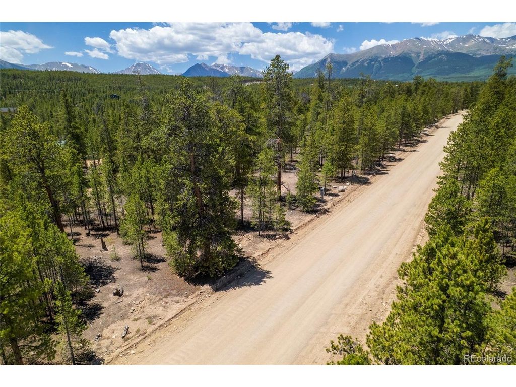 294 Peak View Dr, Twin Lakes, CO 80461