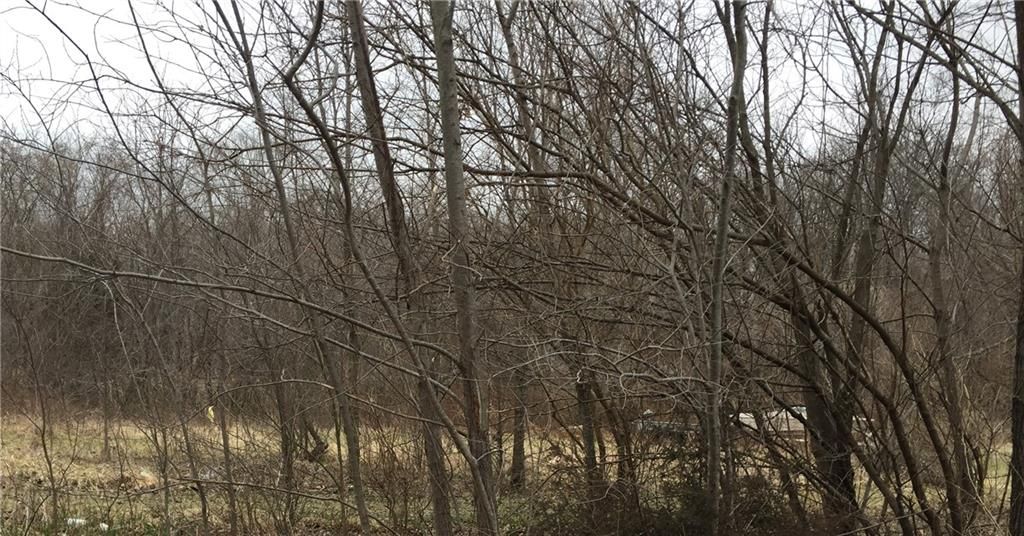 403 N Countryside Road, Blue Springs, MO 64015