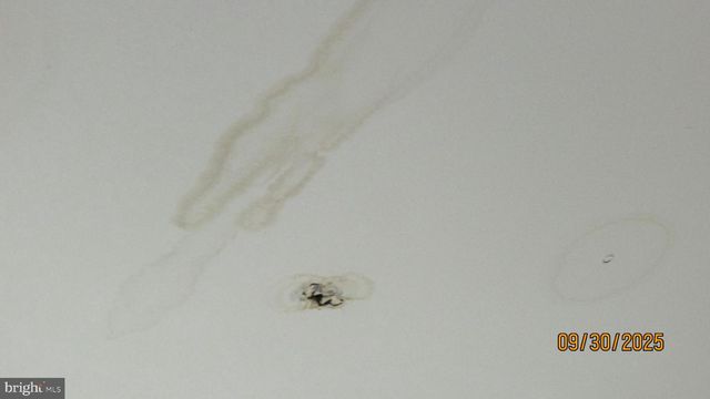 4501 BEECHWOOD RD, College Park, MD 20740