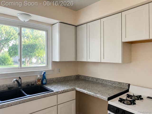 19749 Broadacres Street, Clinton Charter Township, MI 48035