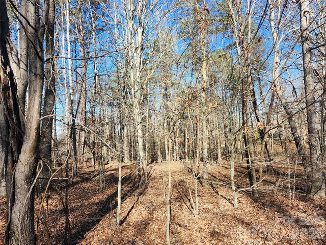 0000 Forest Ridge Road 22, Tryon, NC 28782