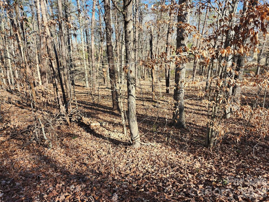 0000 Forest Ridge Road 22, Tryon, NC 28782