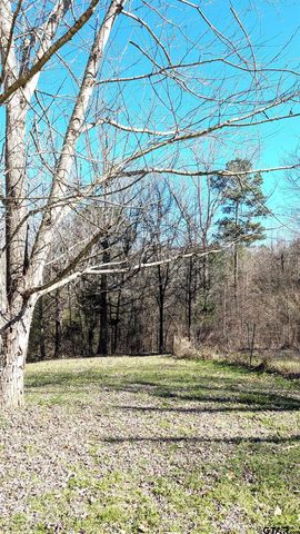 19725 CR 444, Lindale, TX 75771