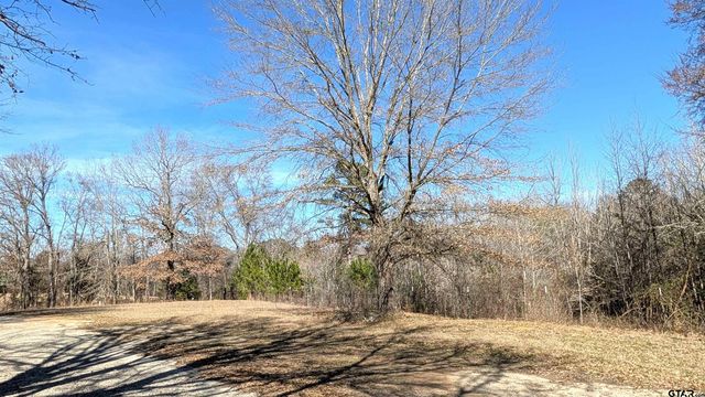 19725 CR 444, Lindale, TX 75771