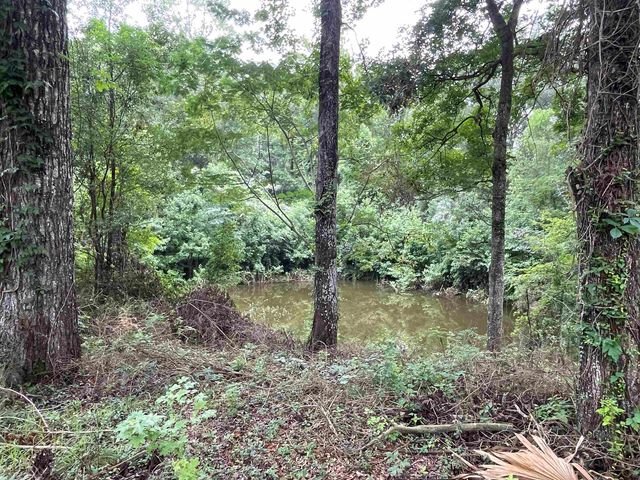 1734 W King Street, Quincy, FL 32351