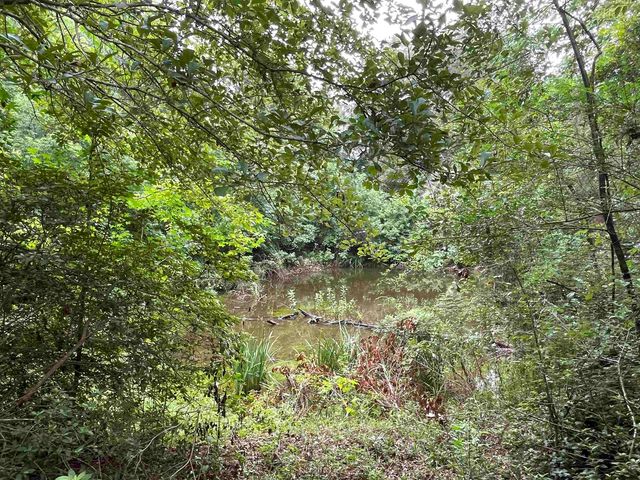 1734 W King Street, Quincy, FL 32351