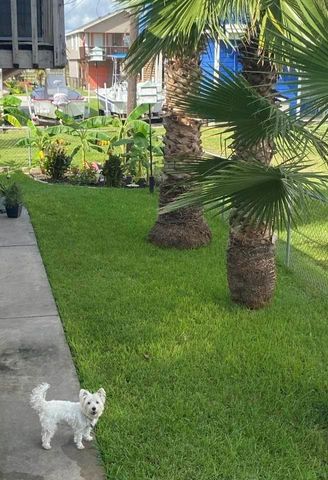 4014 Reeves Drive, Galveston, TX 77554