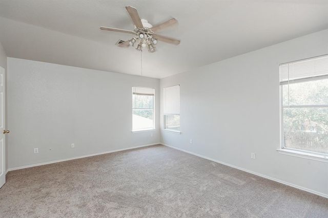 3138 Jazz ST, Round Rock, TX 78664