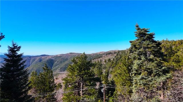 30904 Live Oak Drive, Running Springs, CA 92382