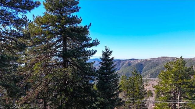 30904 Live Oak Drive, Running Springs, CA 92382