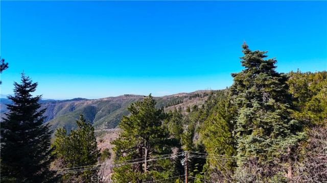 30904 Live Oak Drive, Running Springs, CA 92382