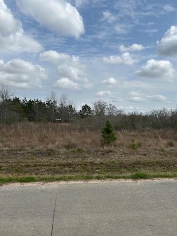 207 County Road 3581, Cleveland, TX 77327