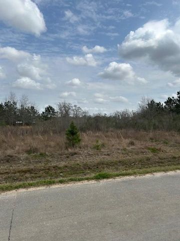 207 County Road 3581, Cleveland, TX 77327