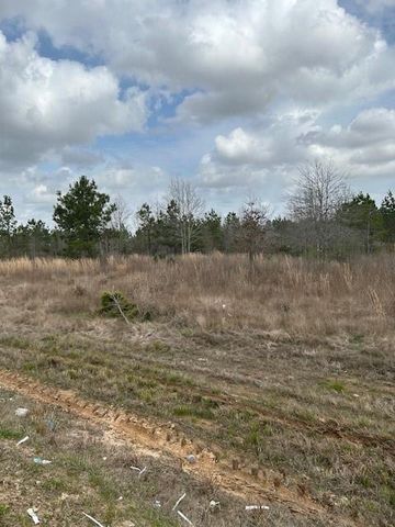 207 County Road 3581, Cleveland, TX 77327