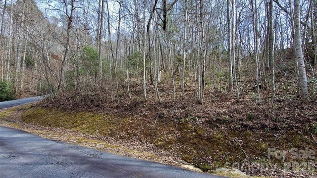 0 Hollywalk Trail 4, Sylva, NC 28779