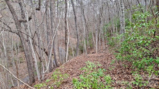 0 Hollywalk Trail 4, Sylva, NC 28779