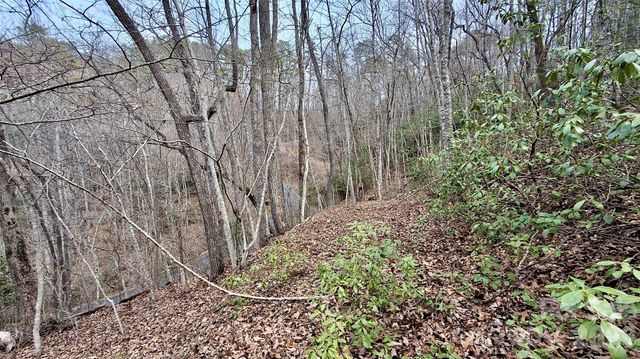 0 Hollywalk Trail 4, Sylva, NC 28779