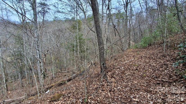 0 Hollywalk Trail 4, Sylva, NC 28779