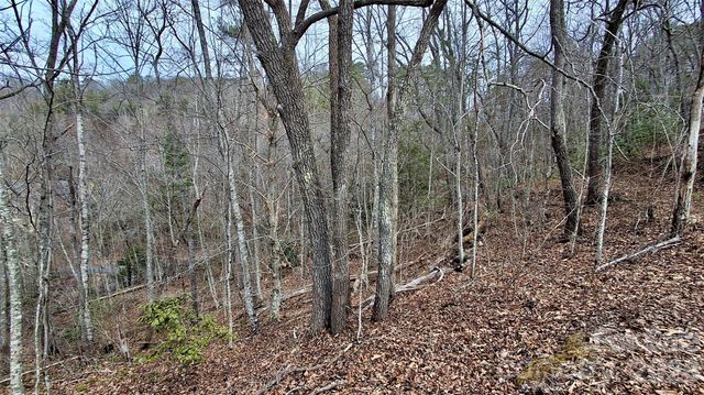 0 Hollywalk Trail 4, Sylva, NC 28779