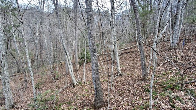 0 Hollywalk Trail 4, Sylva, NC 28779