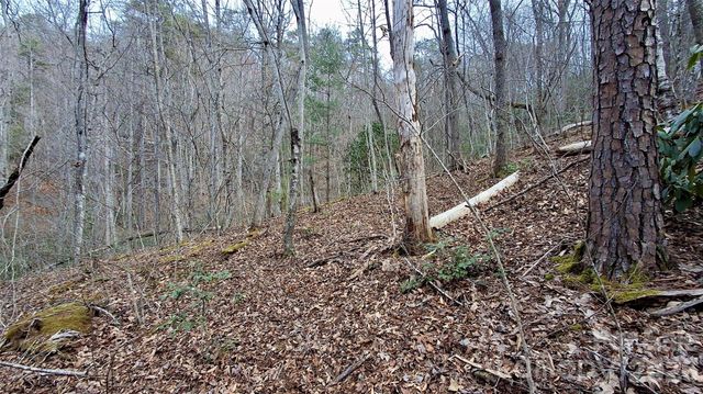 0 Hollywalk Trail 4, Sylva, NC 28779