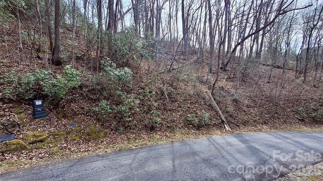 0 Hollywalk Trail 4, Sylva, NC 28779