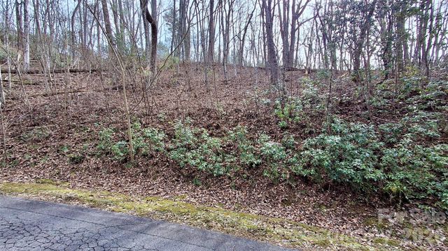 0 Hollywalk Trail 4, Sylva, NC 28779